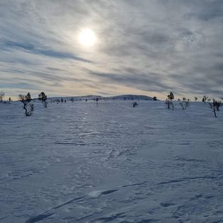 Skidåkning i fjällmiljö med coach
